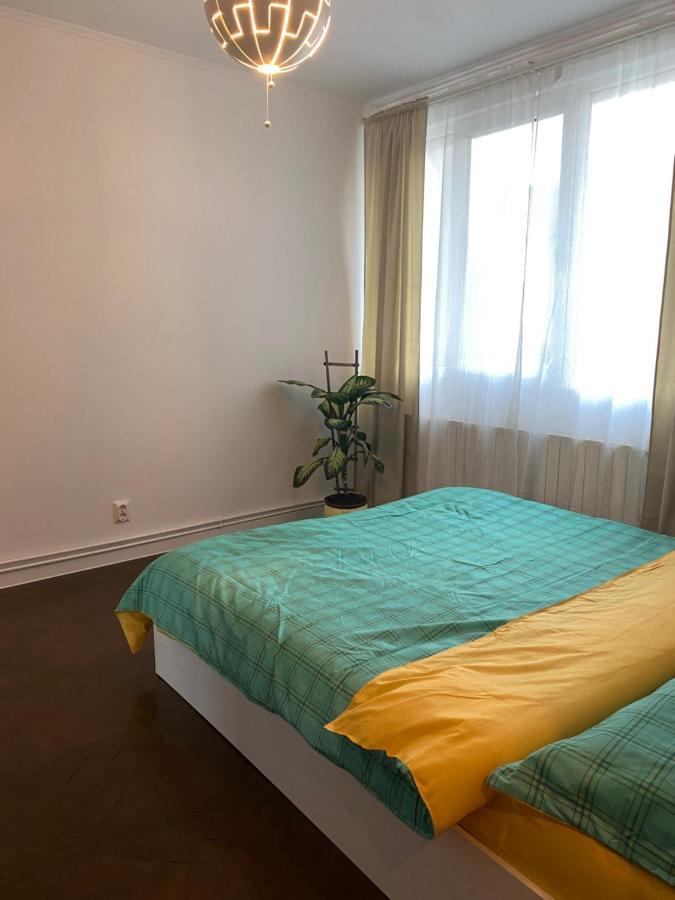 Zaza Apartament - Central Area, With Balcony Târgu Jiu Exteriör bild